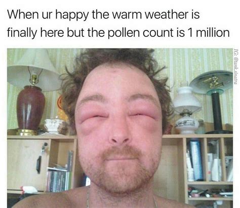 Allergies meme - 